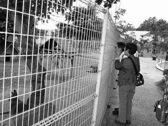 動物とのふれあい写真2