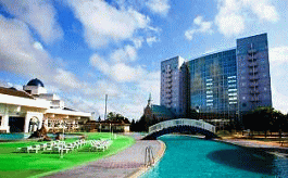 �ʐ^�F�K�g�[�L���O�_���D�y