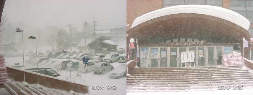 ����̑����̈��